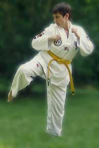 me starting roundhouse kick