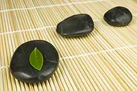 3 pebbles and a leaf photo